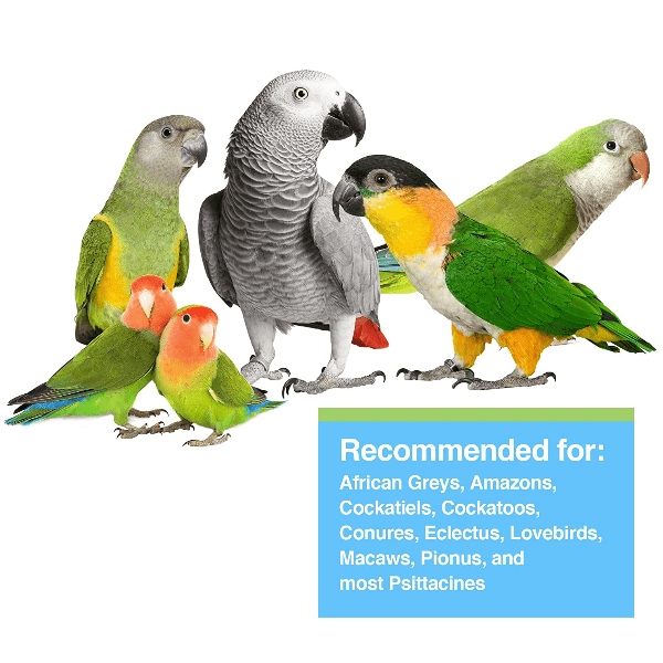 Hagen Tropican Hand-Feeding Formula for Parrots