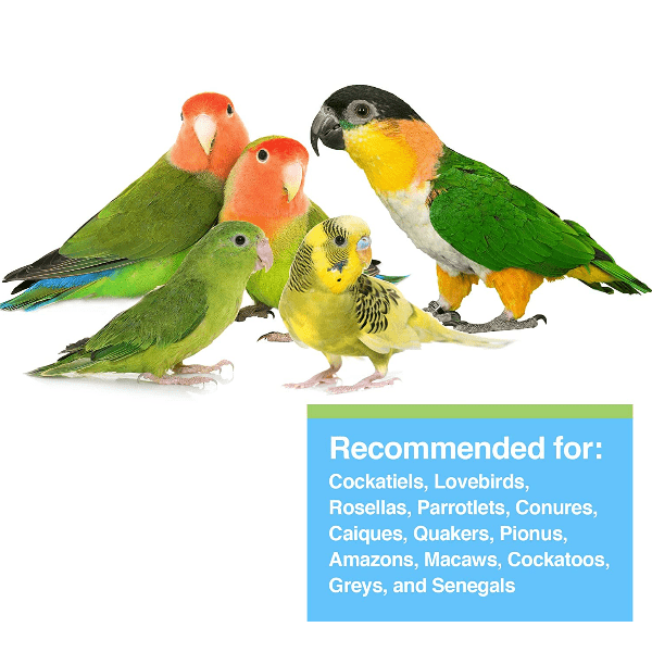 Hagen Tropican Lifetime Formula 2mm Granules for Parrots