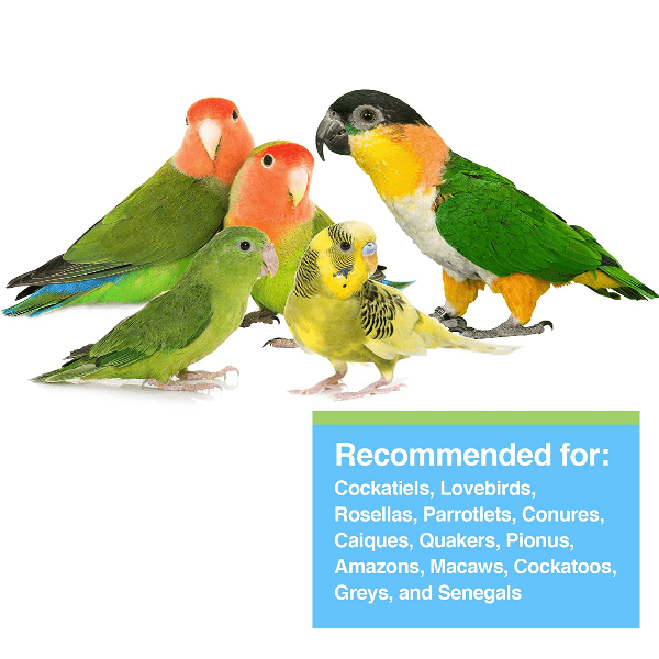 Hagen Tropican Lifetime Formula 4mm Granules for Parrots