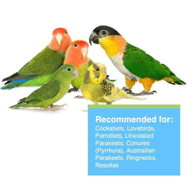 Hagen Tropimix Enrichment Food For Cockatiels and Lovebirds