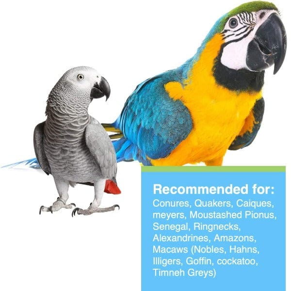 Hagen Tropimix Enrichment Formula for Large Parrots