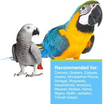 Hagen Tropimix Enrichment Formula for Large Parrots