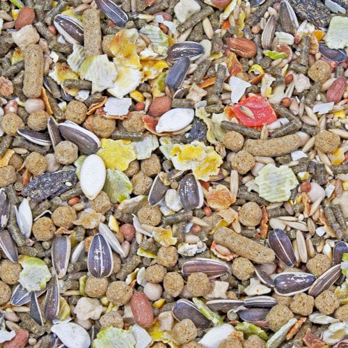 Higgins Premium Pet Foods Higgins Sunburst Gourmet Blend Hamster & Gerbil Food