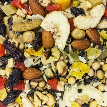 Higgins Premium Pet Foods Sunburst Fruits to Nuts Gourmet Natural Bird Treats