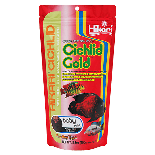 Hikari Hikari Cichlid Gold Floating Pellet