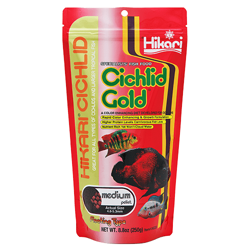 Hikari Hikari Cichlid Gold Floating Pellet