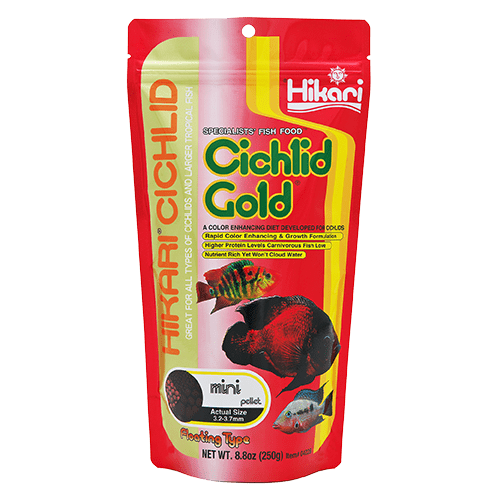 Hikari Hikari Cichlid Gold Floating Pellet