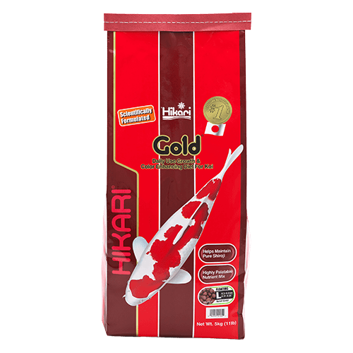 Hikari Hikari Koi Gold Floating Pellet