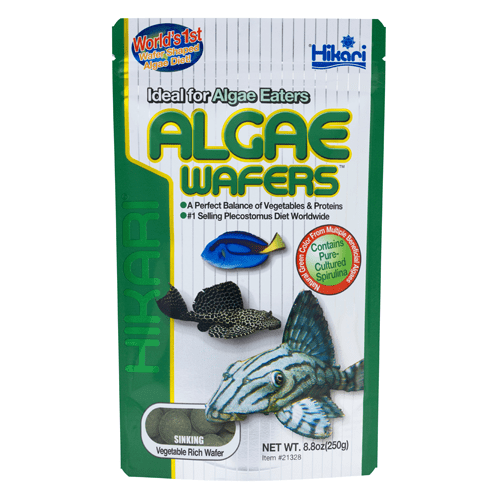 Hikari algae wafers 8.8 oz deals