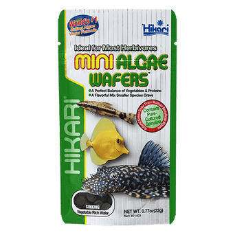 Hikari Hikari Tropical Mini Algae Wafers