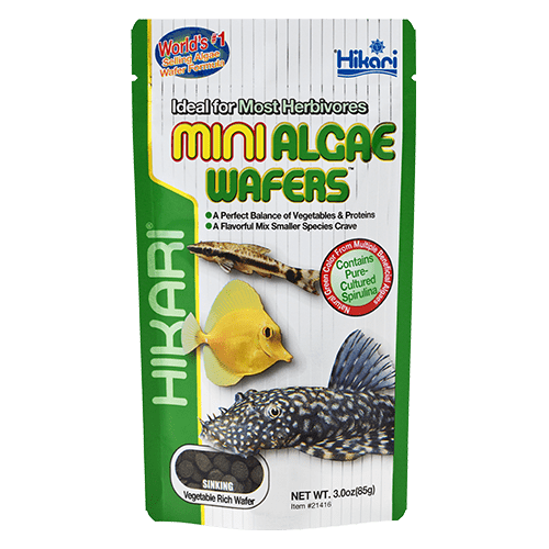 Hikari Mini Algae Wafers 3 oz