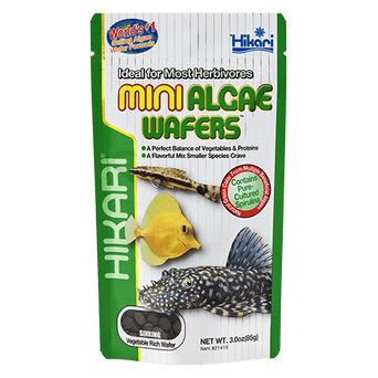 Hikari Hikari Tropical Mini Algae Wafers