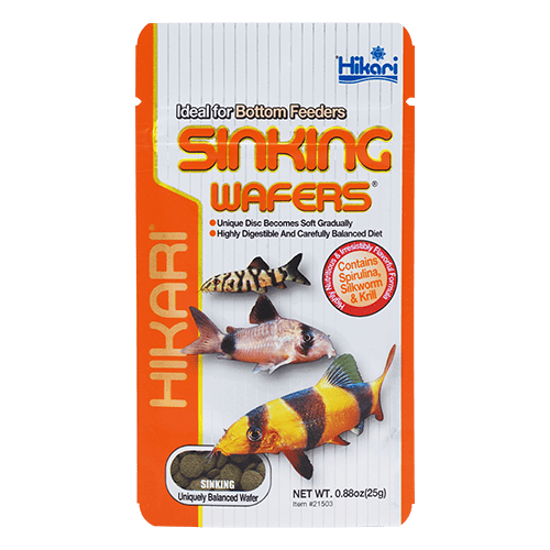 Hikari Hikari Tropical Sinking Wafers