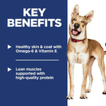 Hill's Science Diet Adult Chicken & Barley Recipe Dry Dog Food