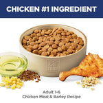 Hill's Science Diet Adult Chicken & Barley Recipe Dry Dog Food