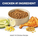 Hill's Science Diet Adult Chicken Recipe Dry Cat Food