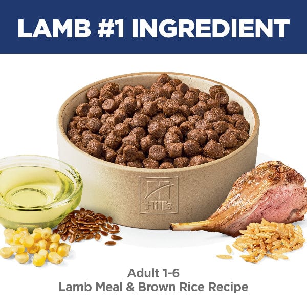 Hill's Science Diet Adult Lamb Meal & Brown Rice Recipe Dry Dog Food