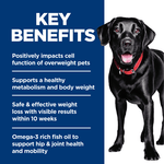 Hill's Science Diet Adult Large Breed Perfect Weight & Joint Support Chicken Recipe Dry Dog Food, 25lb