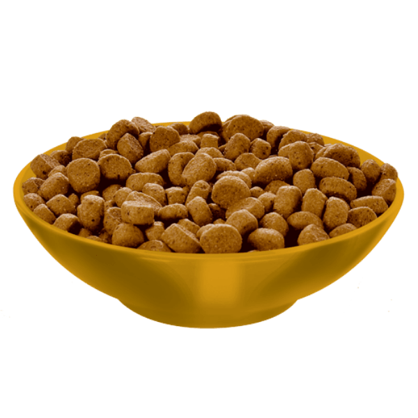 Cat diet top dry food