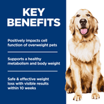 Hill's Science Diet Adult Perfect Weight Chicken Recipe Dry Dog Food