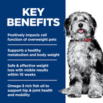 Hill's Science Diet Adult Perfect Weight & Joint Support Chicken Recipe Dry Dog Food