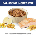 Hill's Science Diet Adult Salmon & Brown Rice Recipe Dry Cat Food