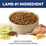 Hill's Science Diet Adult Small Bites Lamb Meal & Brown Rice Recipe Dry Dog Food, 15.5lb