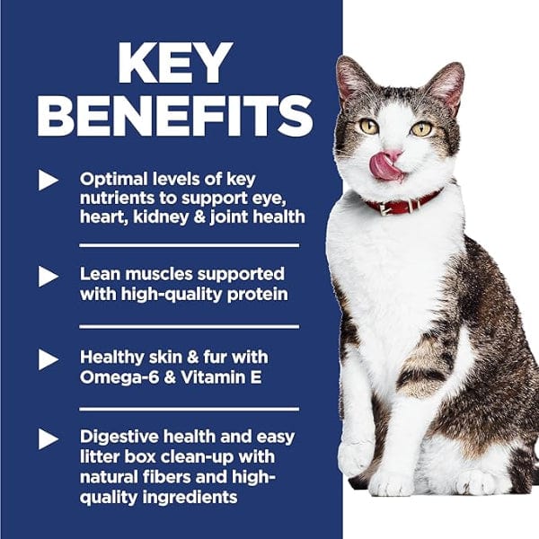 Science Diet Indoor Adult 11+ Chicken Recipe Dry Cat Food