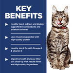 Hill's Science Diet Indoor Adult 7+ Chicken Recipe Dry Cat Food