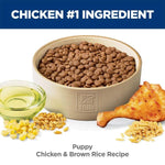 Hill's Science Diet Puppy Chicken & Brown Rice Recipe Dry Dog Food