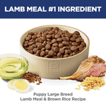 Hill's Science Diet Puppy Large Breed Lamb Meal & Brown Rice Recipe Dry Dog Food, 30lb