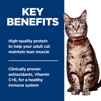 Hill's Science Diet Savory Salmon Entree Adult Canned Cat Food, 5.5oz