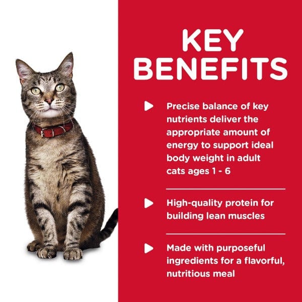 Hill's Science Diet Tender Ocean Fish Dinner Adult Canned Cat Food