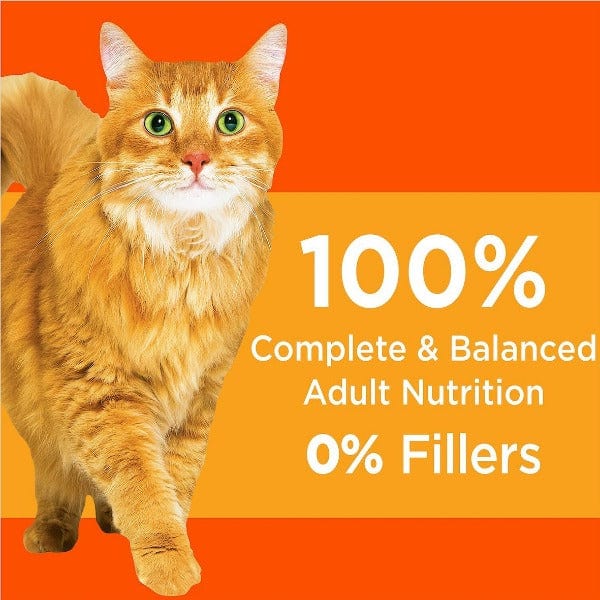 IAMS IAMS Proactive Health Healthy Adult with Chicken Dry Cat Food