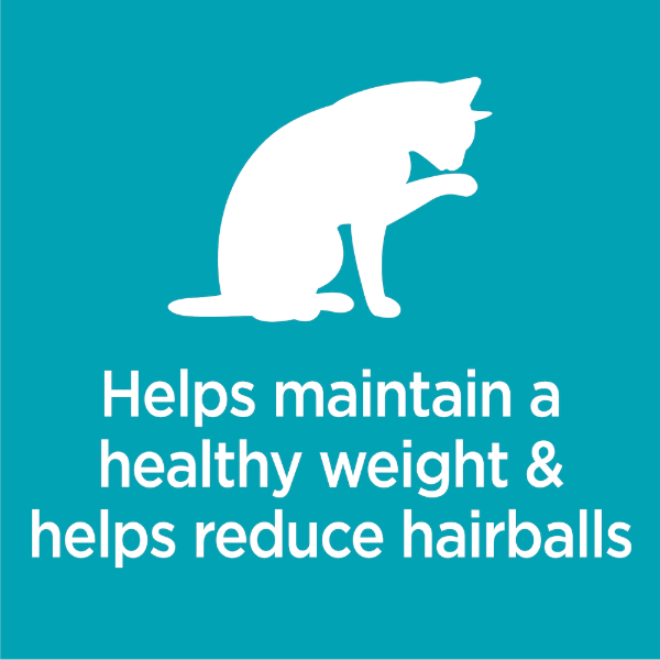 Iams proactive health dry cat food indoor weight & hotsell hairball care