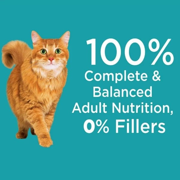 IAMS Proactive Health Indoor Weight Hairball Care Dry Cat Food