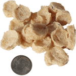 Icelandic+ Icelandic+ Cod Chips Mini Fish Chips Dog Treat