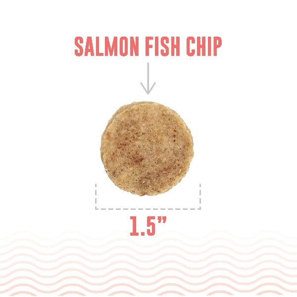 Icelandic+ Icelandic+ Salmon Fish Chips Dog Treats