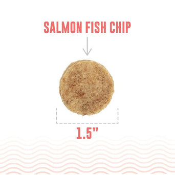 Icelandic+ Icelandic+ Salmon Fish Chips Dog Treats