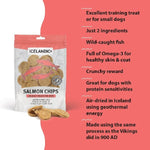 Icelandic+ Icelandic+ Salmon Fish Chips Dog Treats