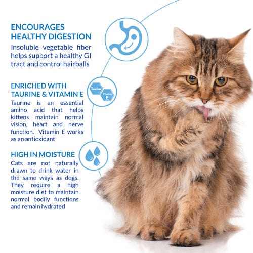 Inaba Cat Churu Hairball Control Chicken Recipe