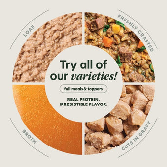 Instinct Instinct Healthy Cravings Real Salmon Recipe Dog Food Pouch