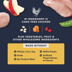 Instinct Instinct Raw Boost Real Chicken Recipe Dry Cat Food