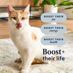 Instinct Instinct Raw Boost Real Chicken Recipe Dry Cat Food