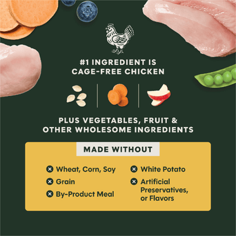 Instinct Instinct Raw Boost Real Chicken Recipe Dry Dog Food, 20lb