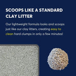 Intersand Intersand OdourLock Lightweight Cat Litter, 5kg