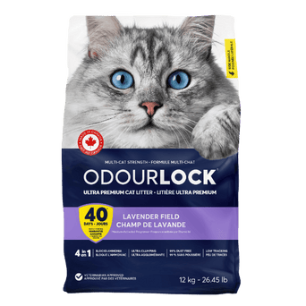 Intersand Intersand Odourlock Multi-Cat Clumping Cat Litter, 12kg