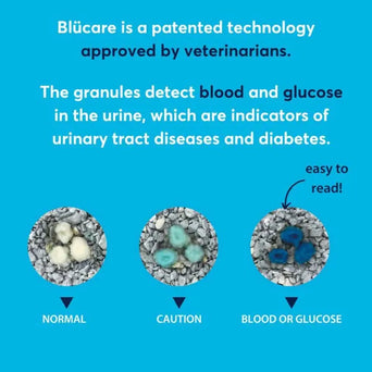 Intersand OdourLock maxCare Blücare Health Monitoring Granules