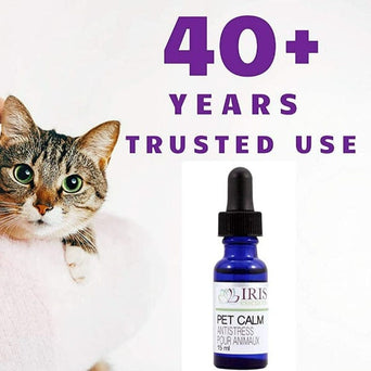 Iris Essences SB Iris Essences Pet Calm Formula