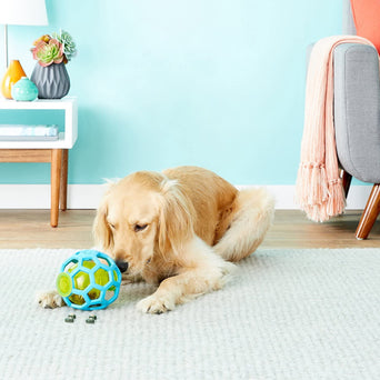 JW Pet JW Hol-ee Treat Ball Dog Toy